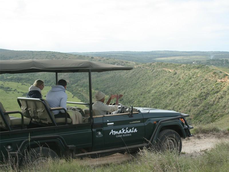 Safari Lodge- Amakhala Game Reserve Ngoại thất bức ảnh